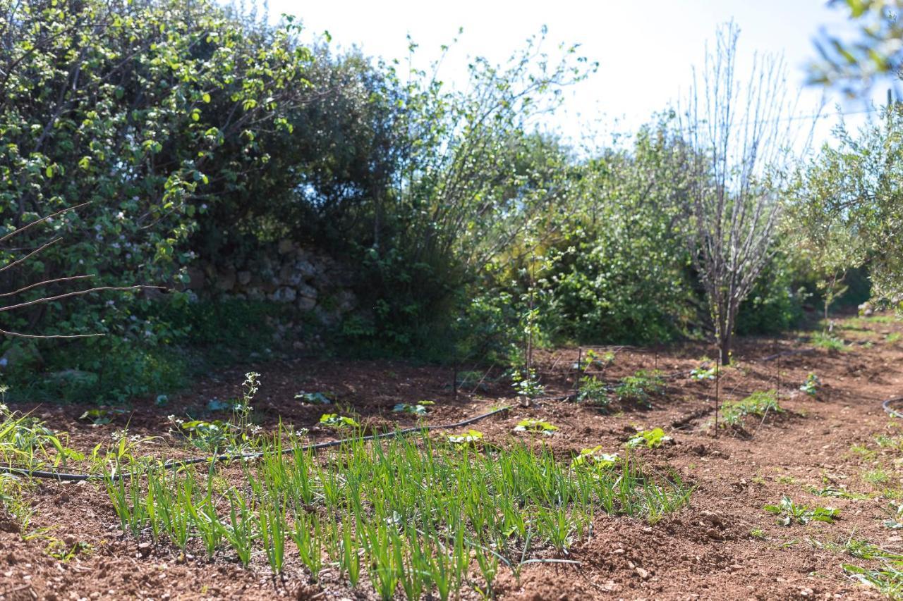 Villa Eden'S Garden Skouloúfia Exterior foto